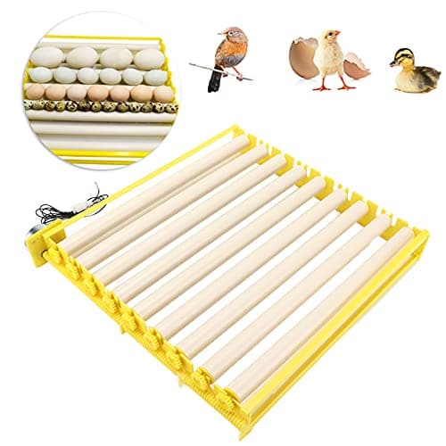 Zerodis Hatching Machine, 110V 56 Small Home Automatic Intelligent Incubator for Chicken, Goose, and Bird Eggs