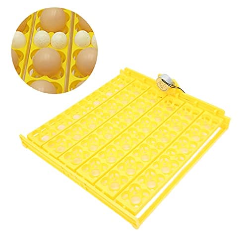 Zerodis Egg Incubator, Automatic Egg Turner for Home and Children