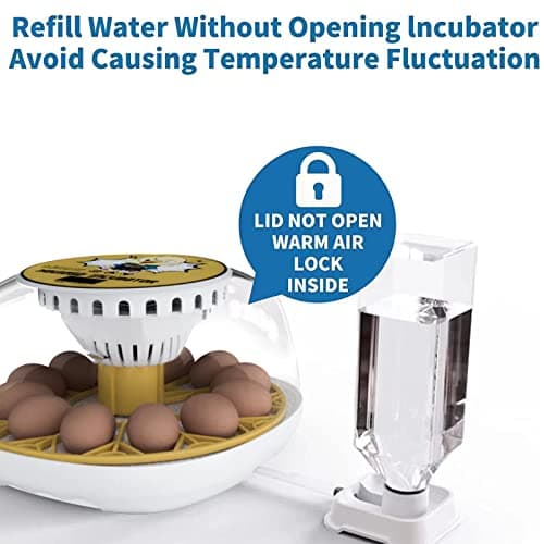 12-24 Egg Automatic Turning Incubator with Water Top-up, Fahrenheit Display, 360° View Poultry Hatcher