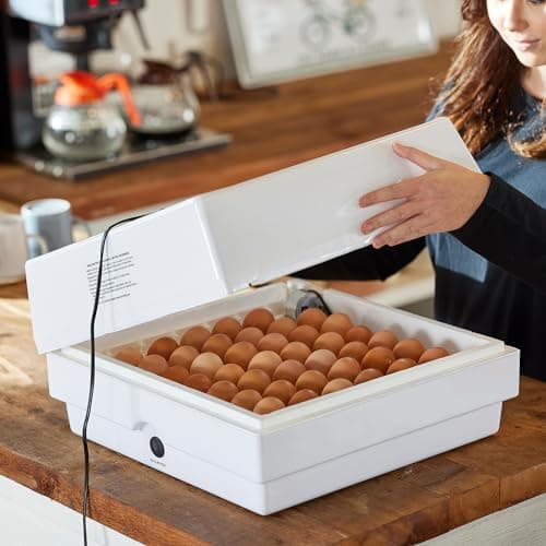 Farm Innovators 2450 Pro Series Automatic Egg Incubator, 41 Egg Capacity