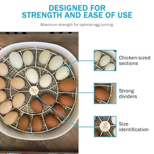 Durable Egg Tray for Nurture Right 360 Incubator - 22 Medium Chicken Eggs