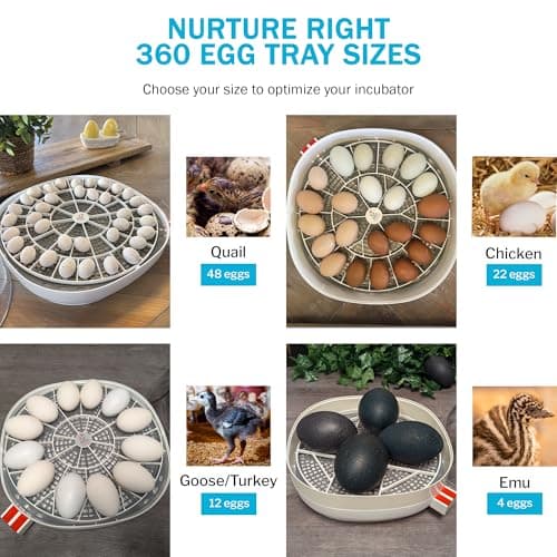 Durable Egg Tray for Nurture Right 360 Incubator - 22 Medium Chicken Eggs