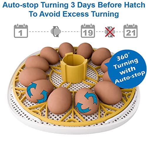 12-24 Egg Automatic Turning Incubator with Water Top-up, Fahrenheit Display, 360° View Poultry Hatcher